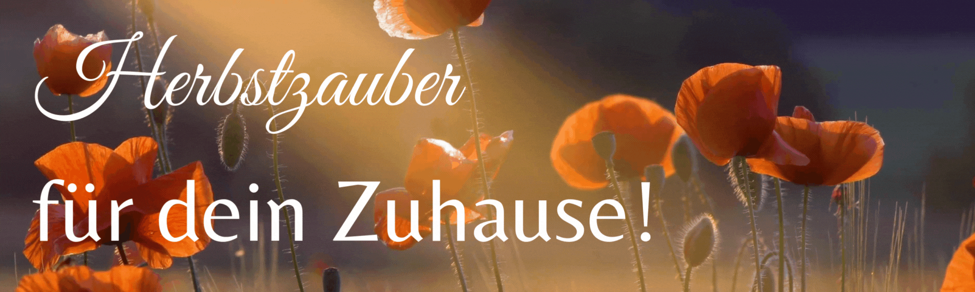 Herbstzauber für dein Zuhause