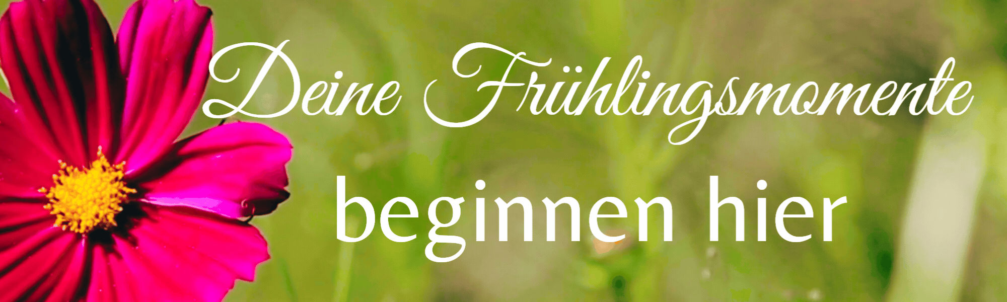 Frühlingsmomente beginnen hier