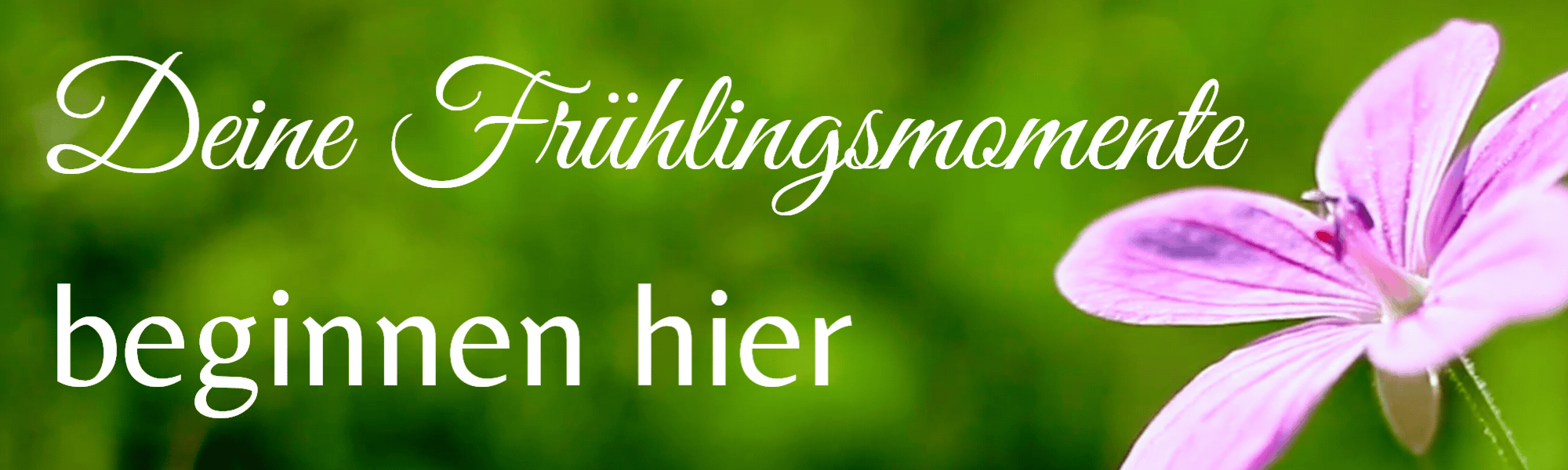 Deine Frühlingsmomente beginnen hier