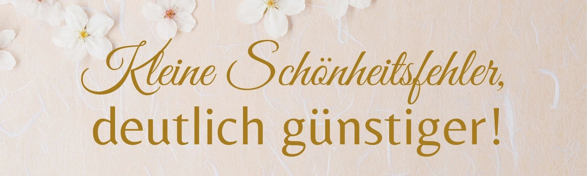 Banner Startseite Kleine Schönheitsfehler, deutlich günstiger