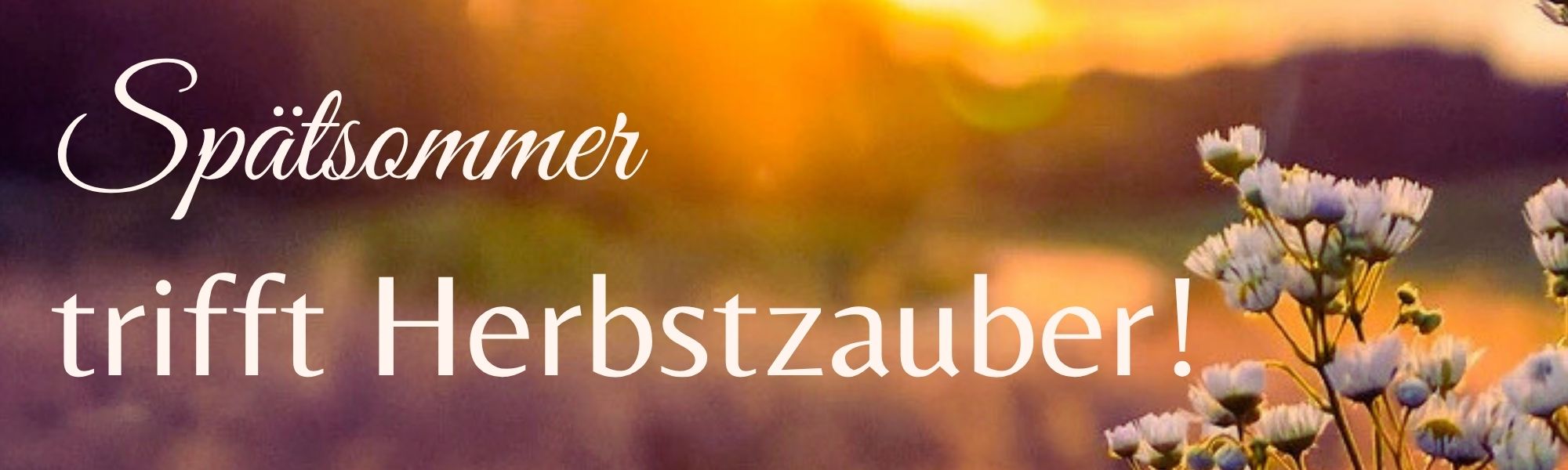 Spätsommer trifft Herbstzauber