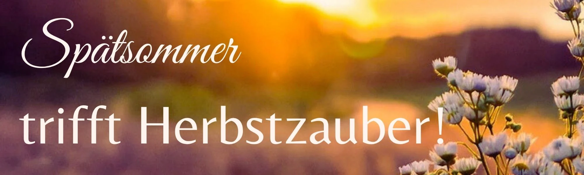 Spätsommer trifft Herbstzauber