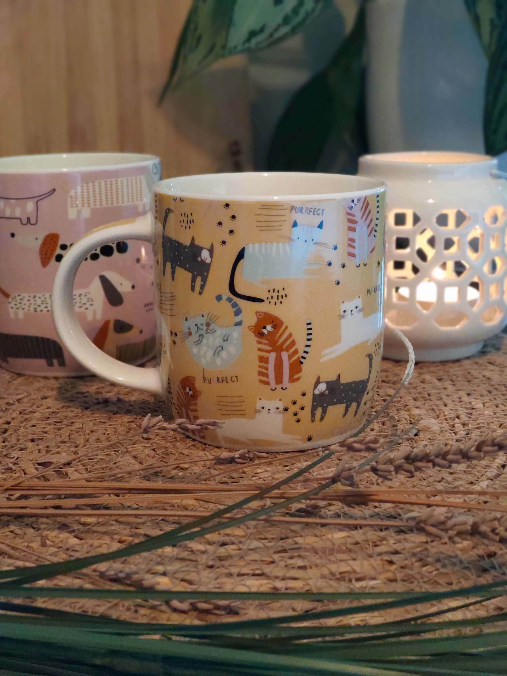 Becher aus Porzellan mit Katzen Motive in Gelb bunt