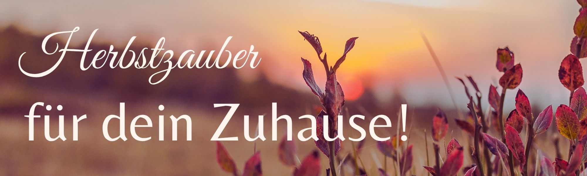 Herbstzauber für dein Zuhause