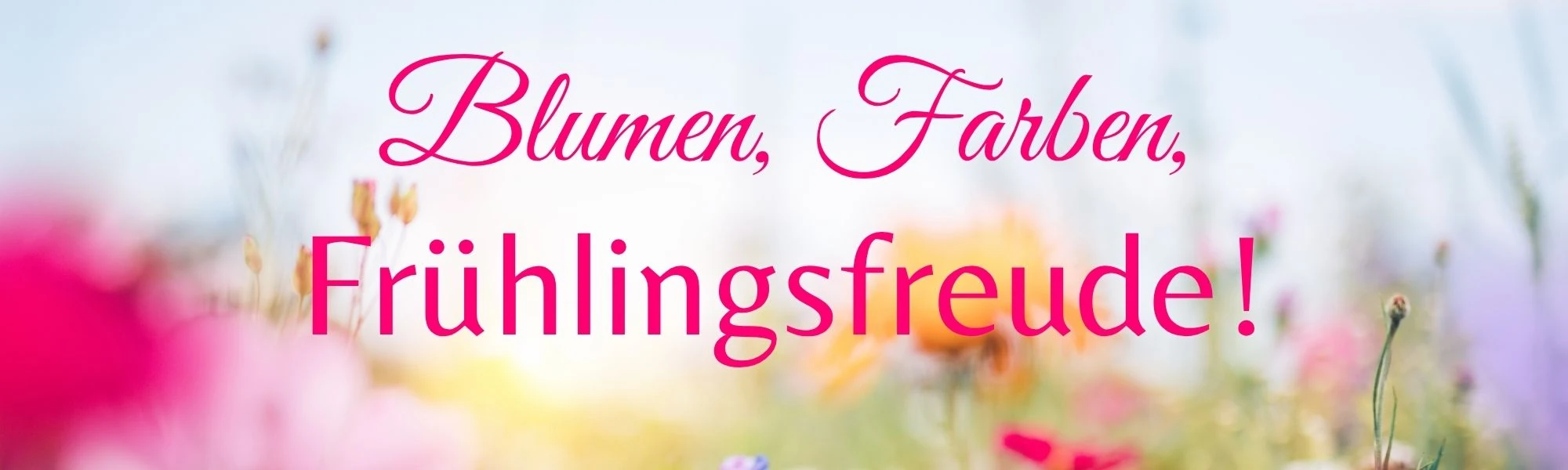 Blumen, Farben, Frühlingsfreude