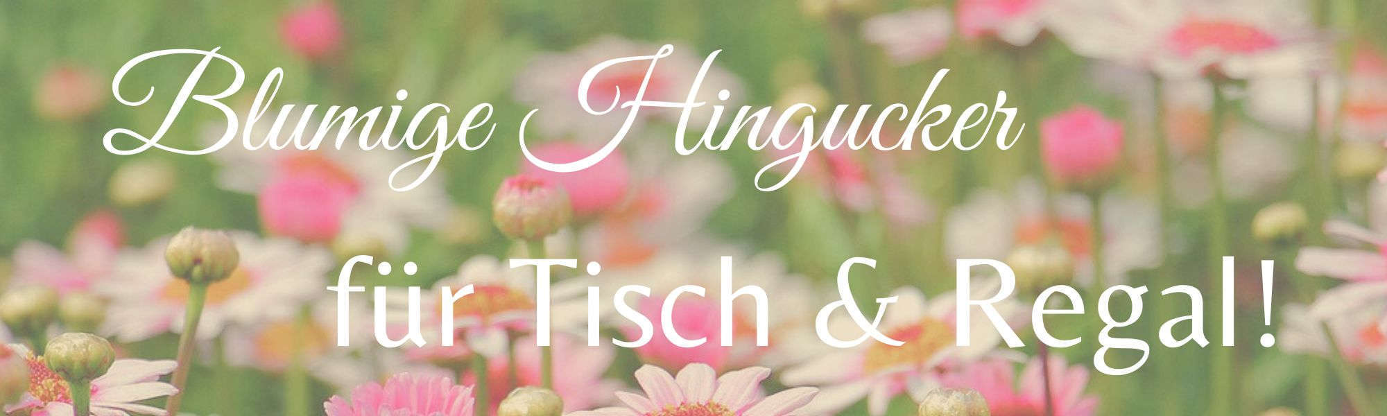 Banner Startseite Blumige Hingucker für Tisch und Regal