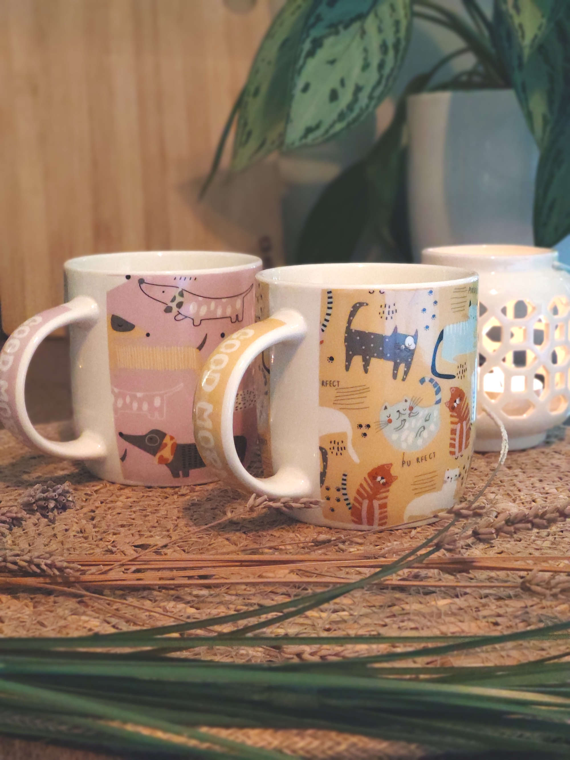 Becher aus Porzellan mit Katzen Motive in Gelb bunt mit Dekoration