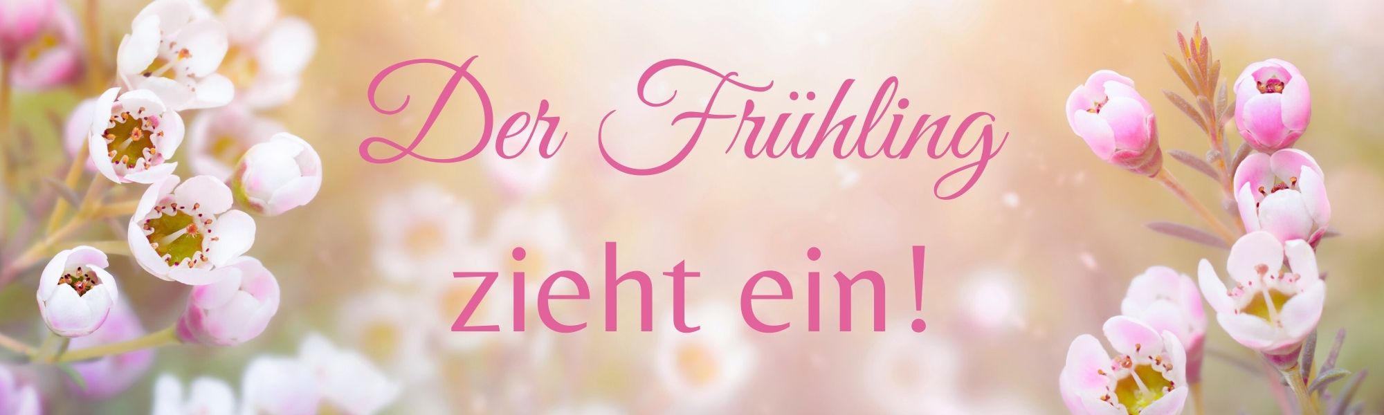 Der Frühling zieht ein